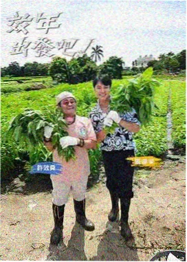 八戒影视极限挑战真人秀